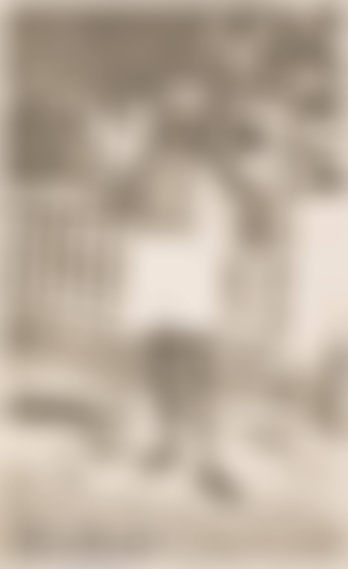 Portrait of Pablo Picasso (preview)