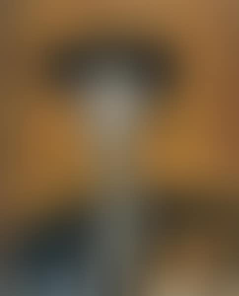 BULLFIGHTER (preview)