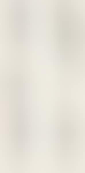 Couplet in seal script (preview)