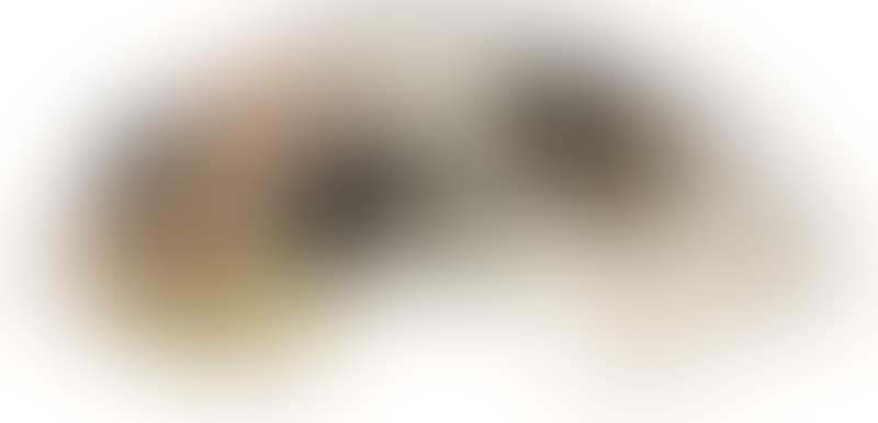 LUFFA (preview)