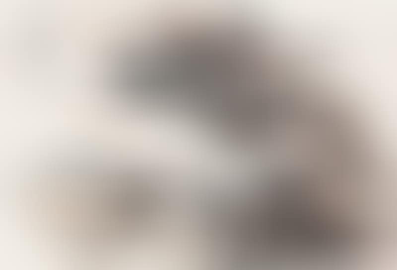 INSPIRED BY LI PO"S POEM (preview)