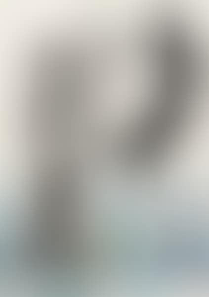 Horse (preview)