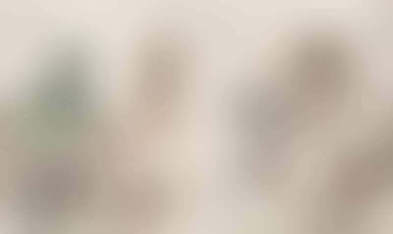 Landscapes (preview)
