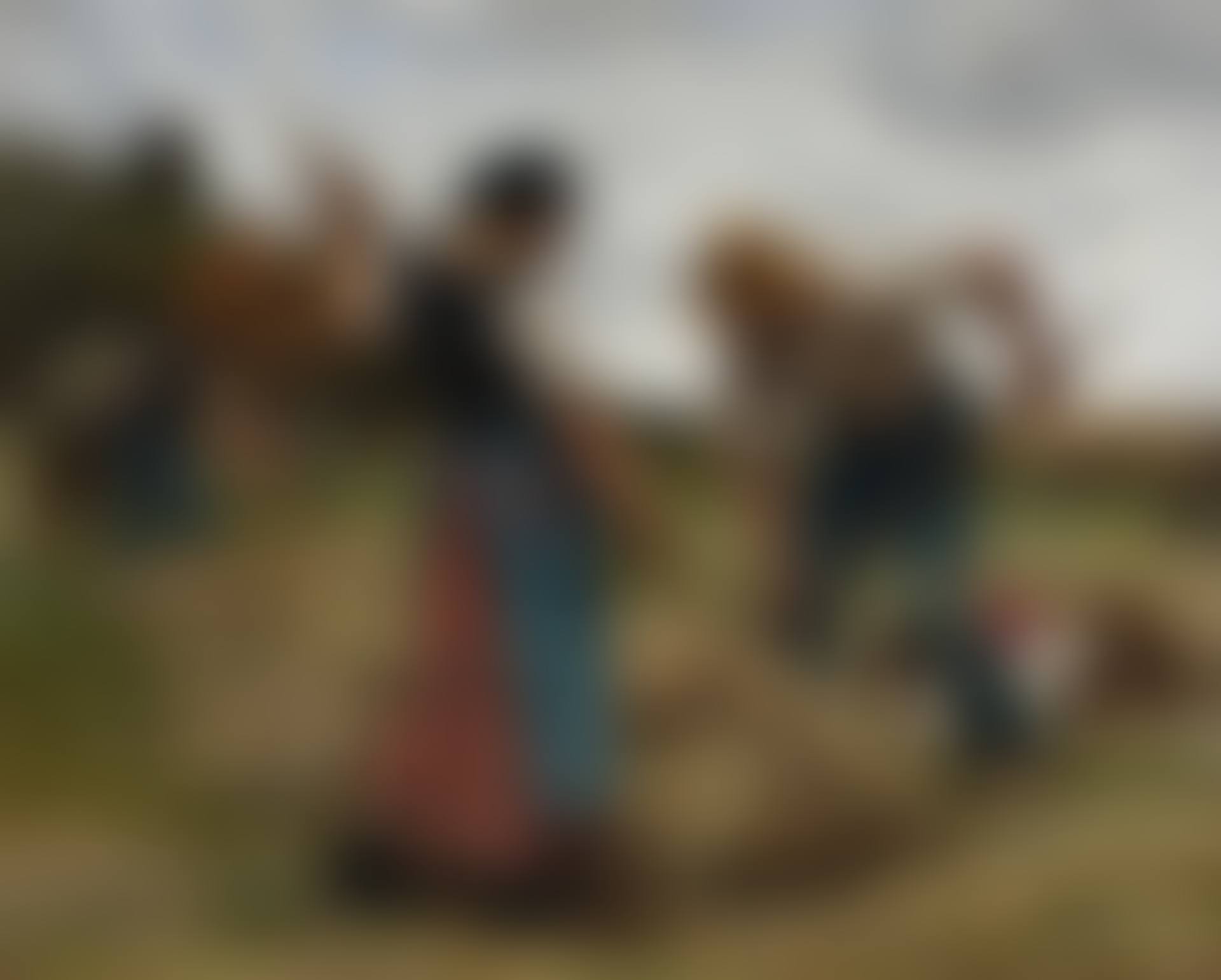 Haymakers (Faneurs et Faneuses) (preview)