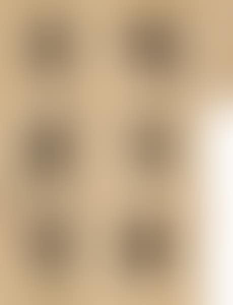 Couplet in seal script (preview)