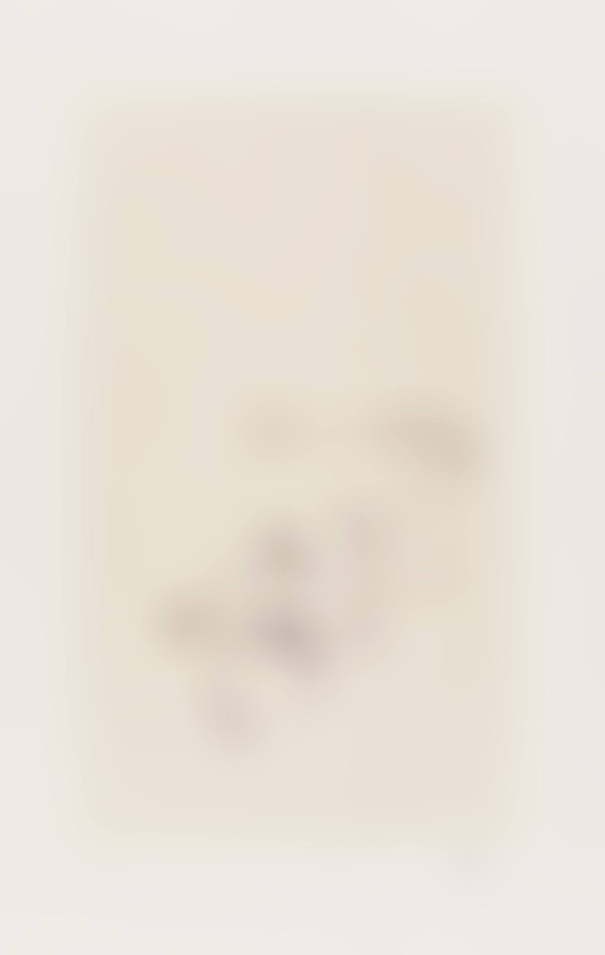 Return (Octavio Paz Suite) (preview)