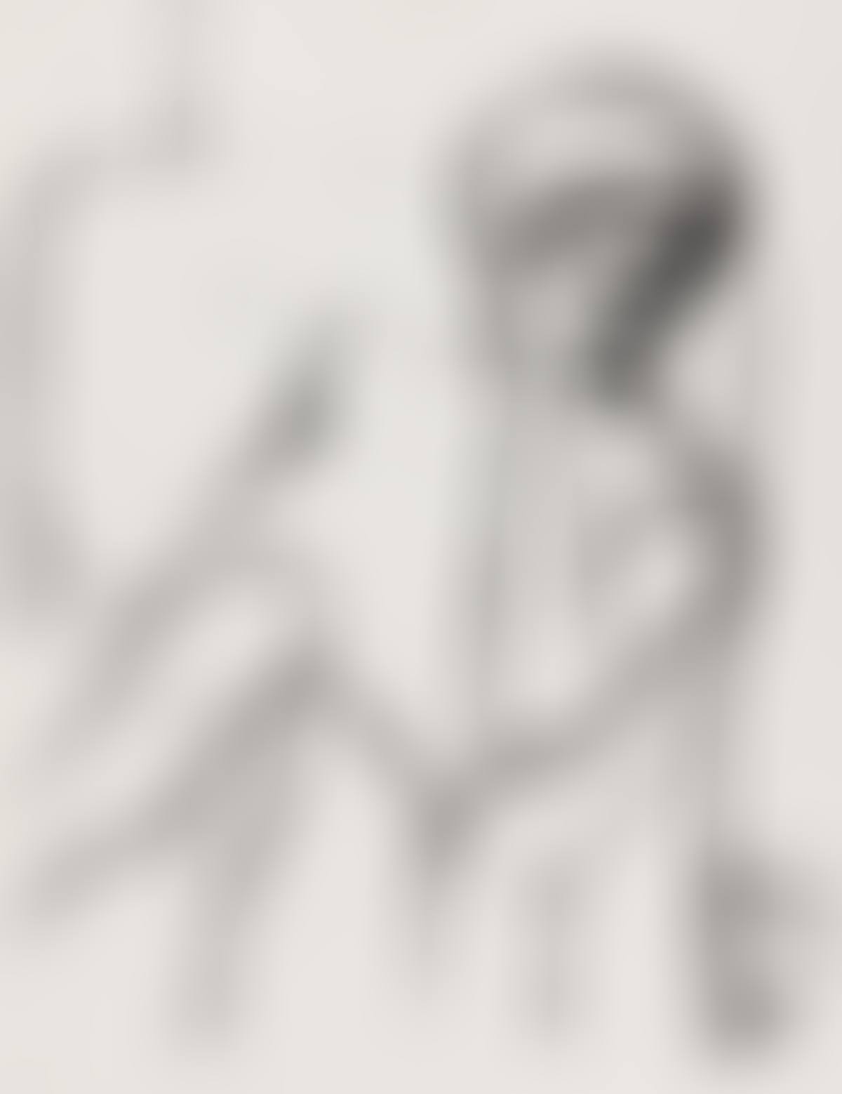 Woman Seated in an Armchair (preview)