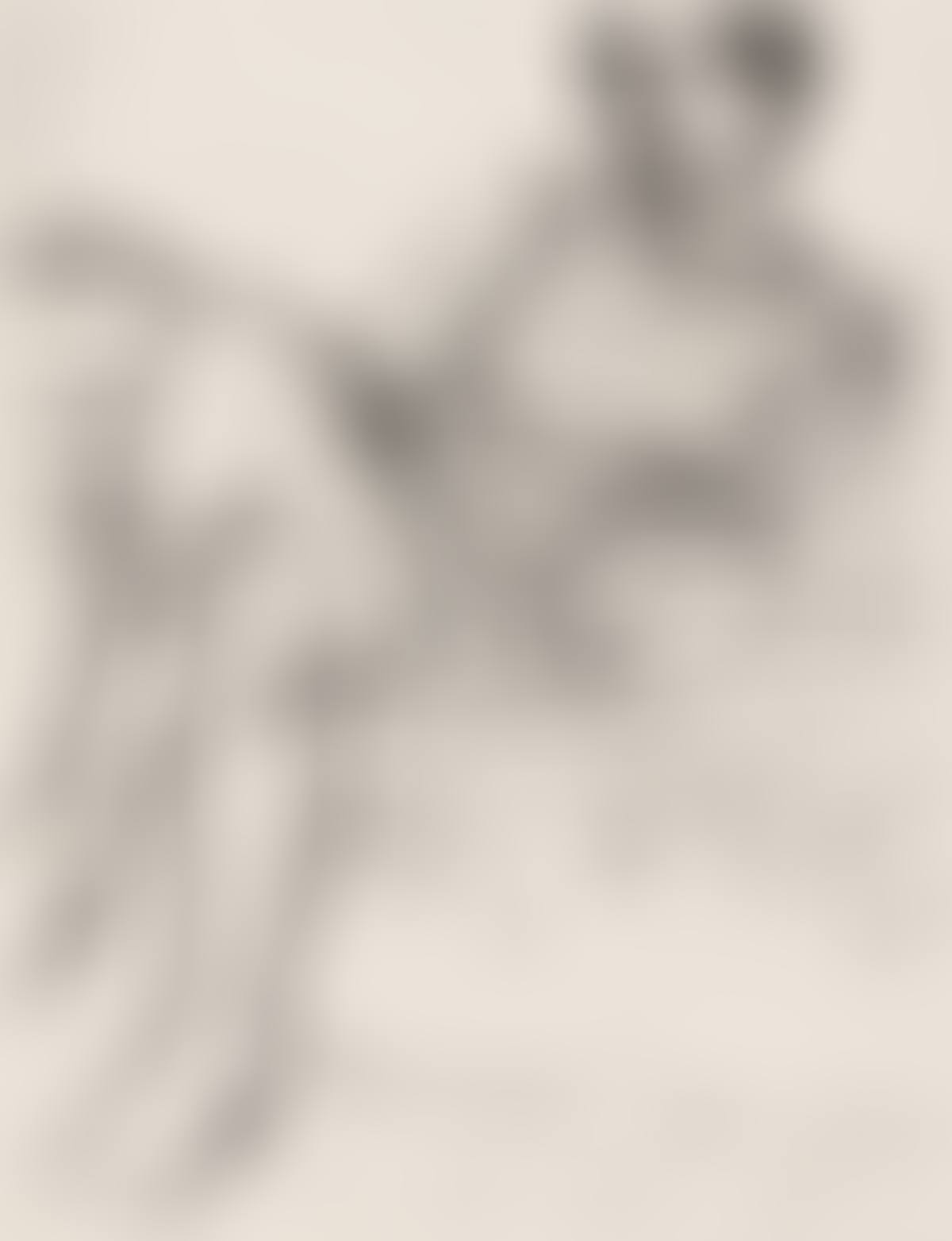 Seated Woman in a Striped Dress (preview)