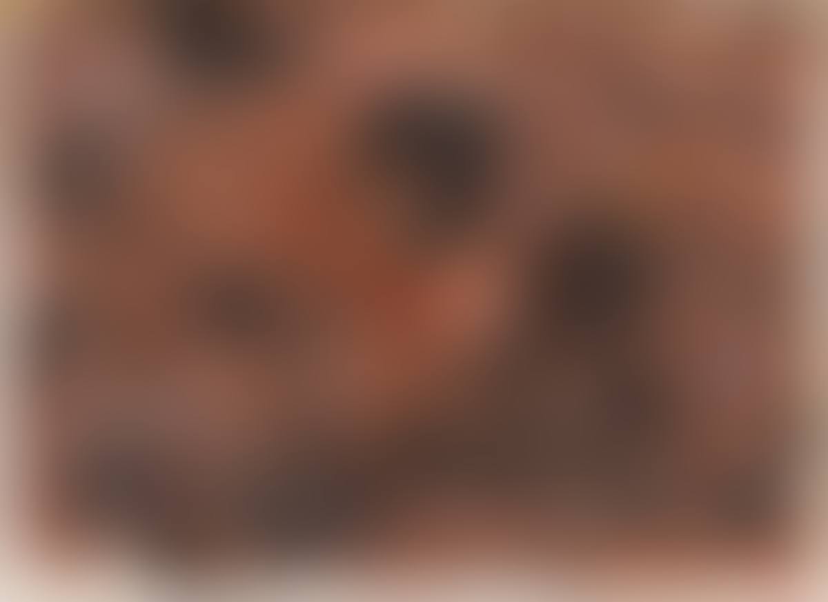 Untitled (preview)