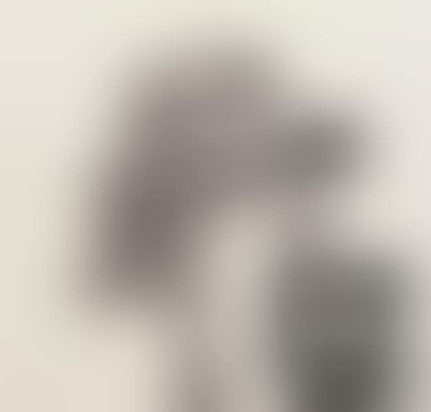 FLOWER (preview)