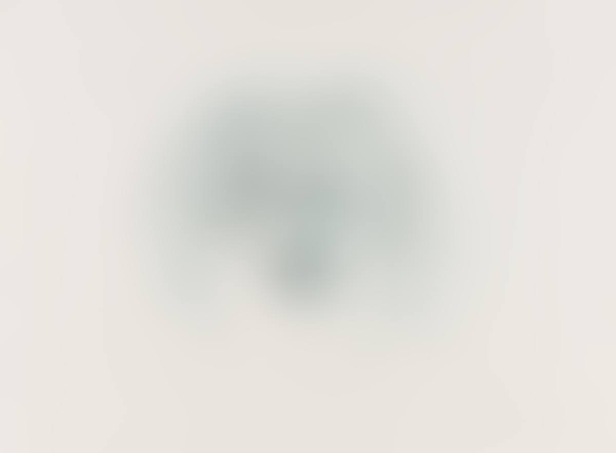 Self Portrait as an Old Woman (preview)