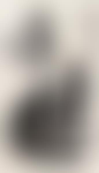 DONKEYS (preview)