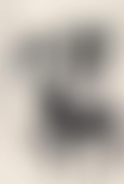 SEVEN DONKEYS (preview)