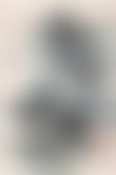 LANDSCAPE (preview)