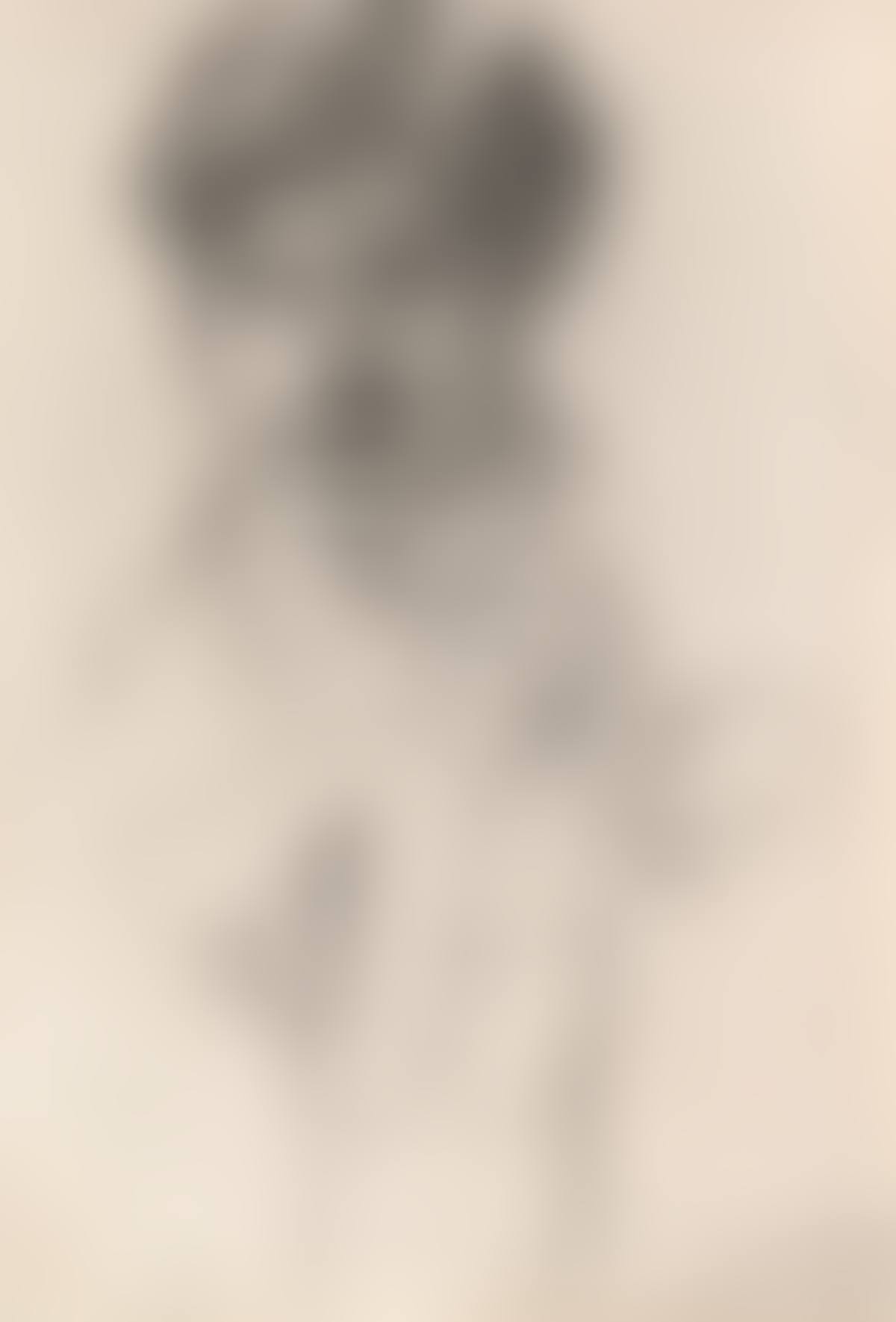 Figuren Studien (preview)