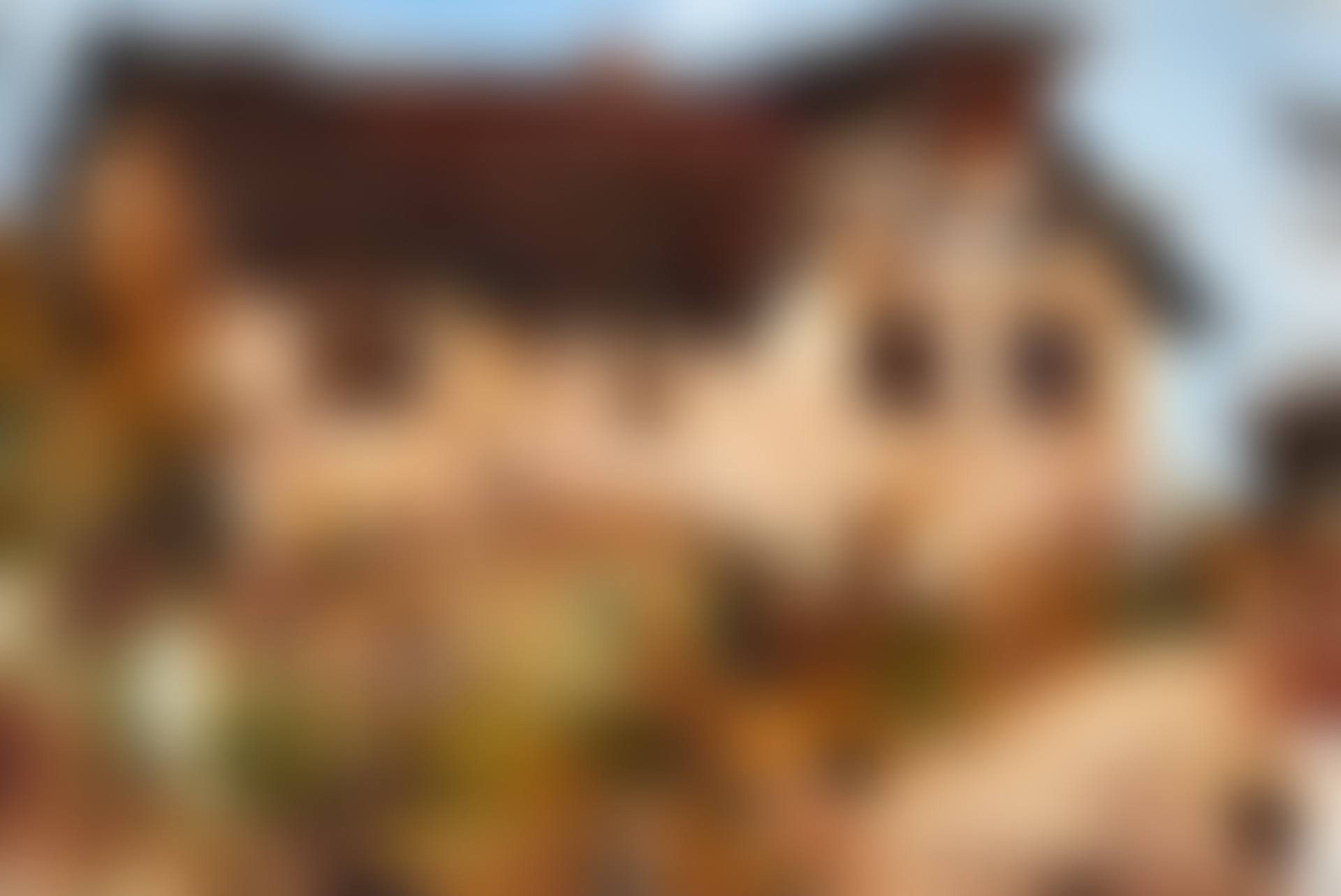 The Rock House (preview)