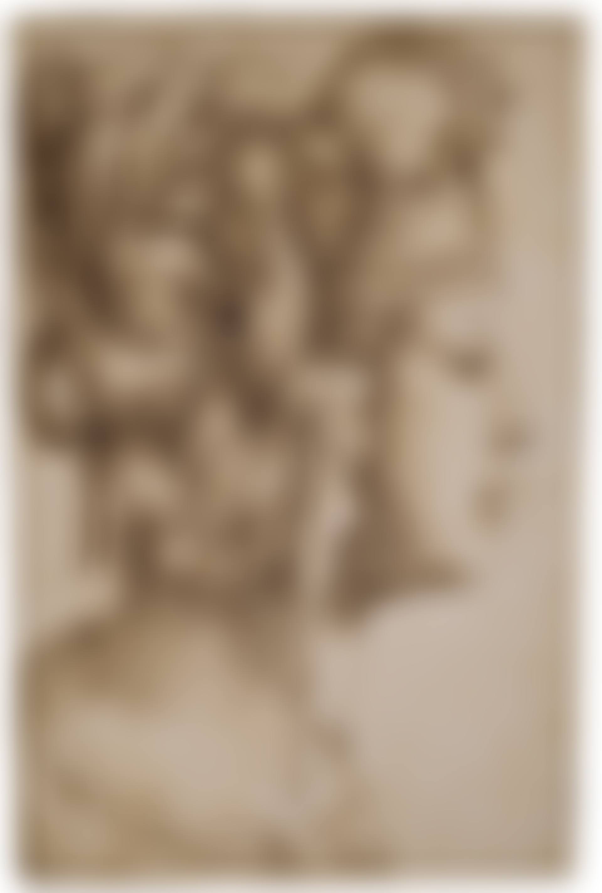 The head of a woman in profile to the right, wearing an elaborate headdress with a pearl resting on her forehead (preview)