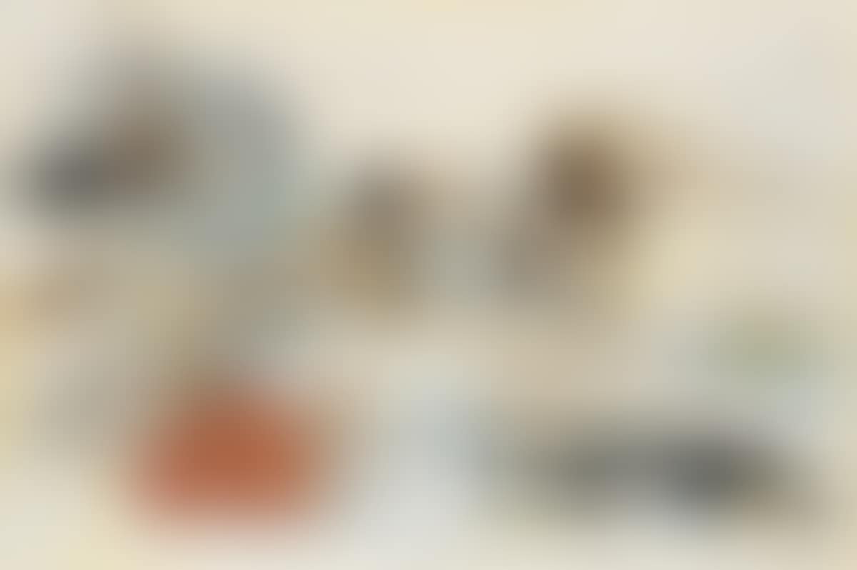 Twister (preview)