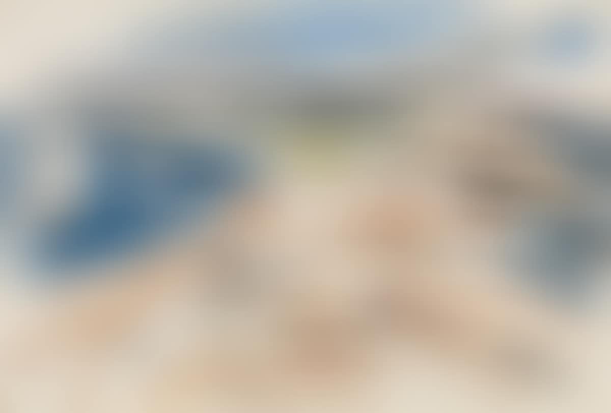 Rocky Shore (preview)