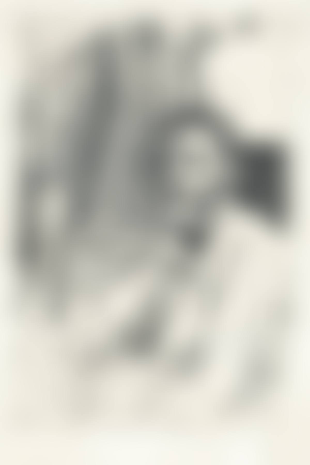 Augustus Saint-Gaudens I (preview)