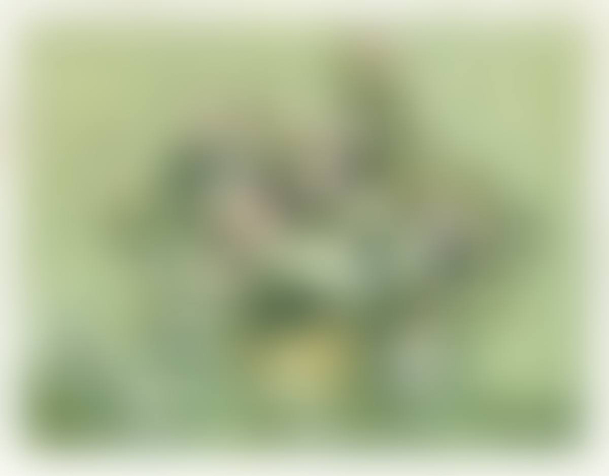 Les Roses (preview)