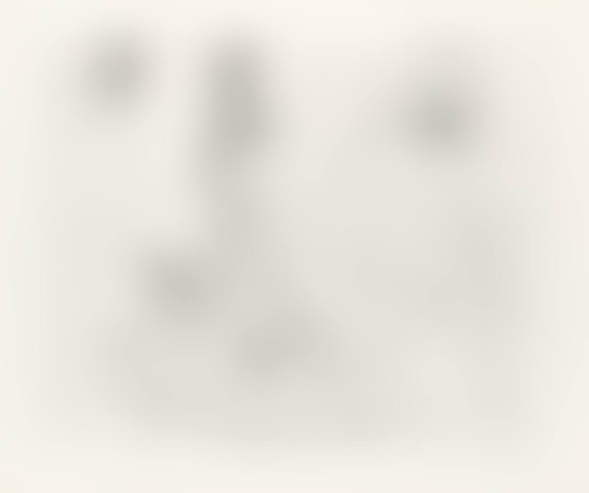 Series 156:008 (preview)