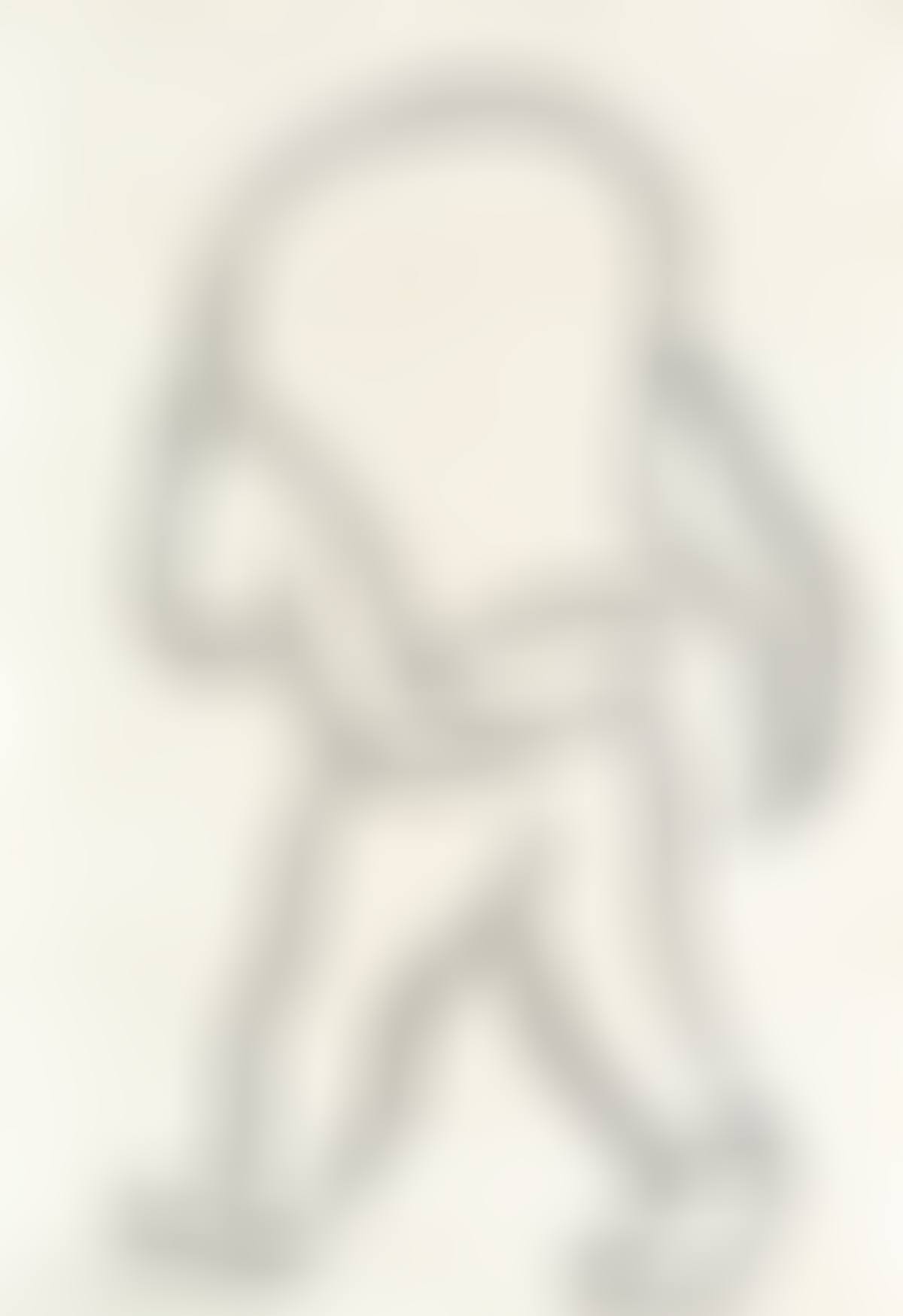 Hombre con Paquete (preview)
