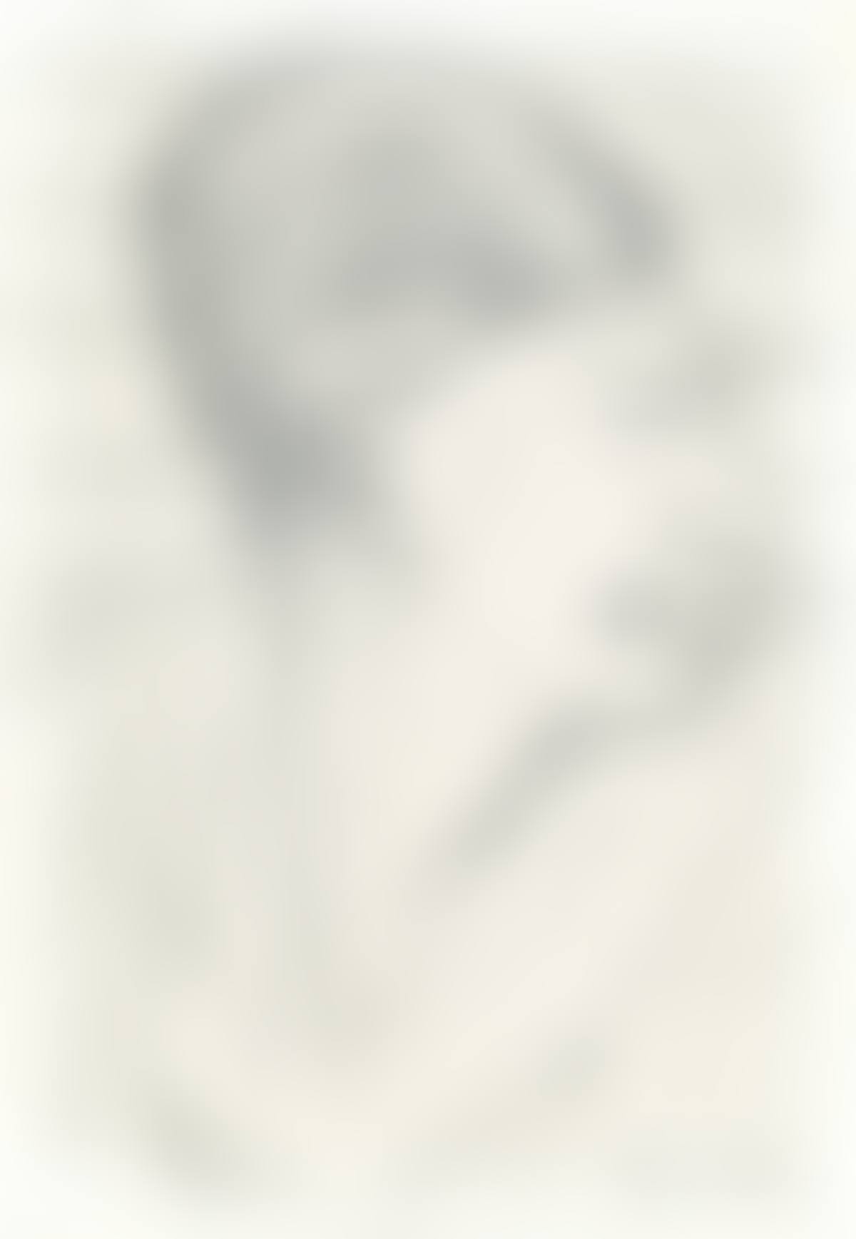 Estudio de un Hombre (preview)