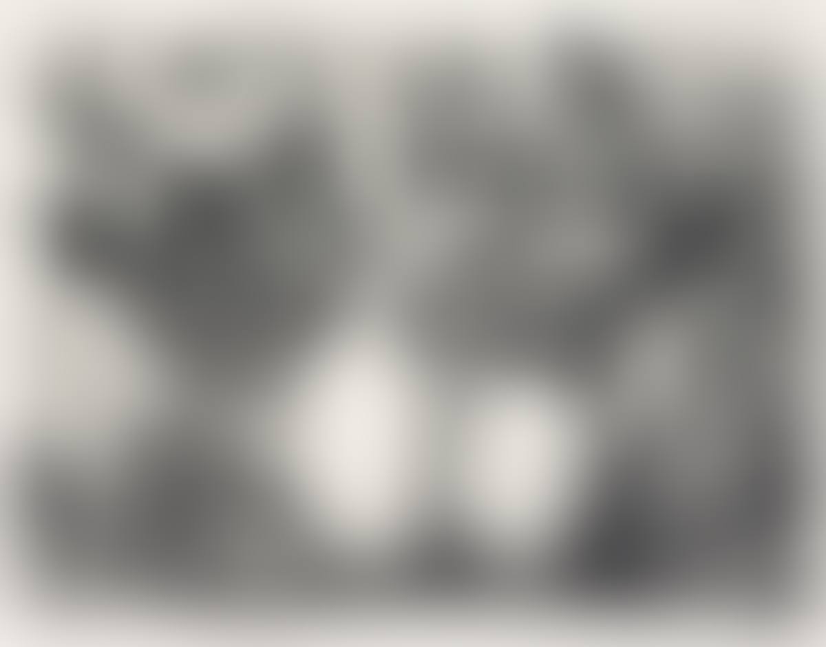 Escuela al Aire Libre (preview)