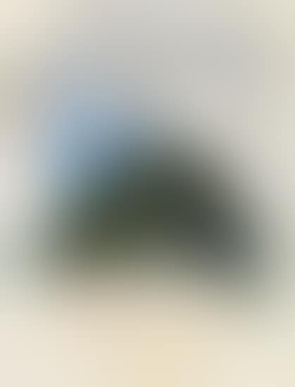 Landscape (preview)