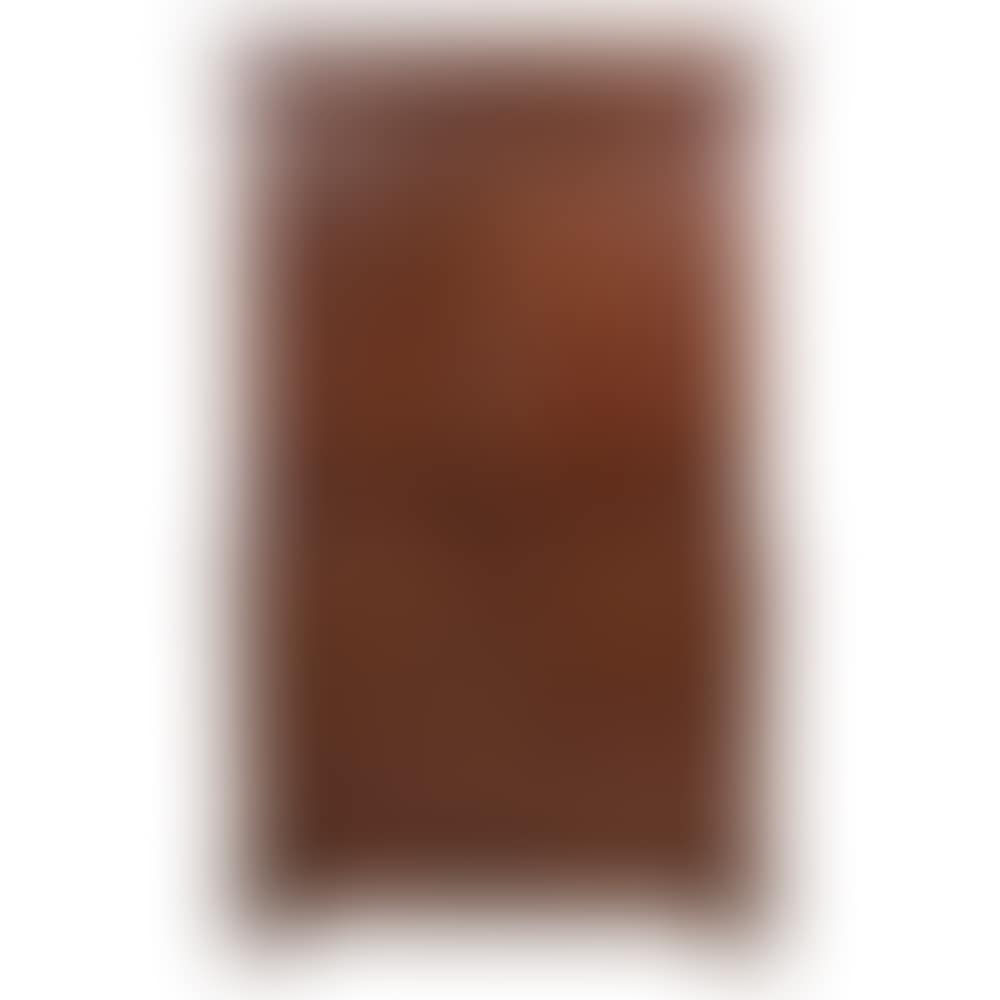 2 bodies (preview)