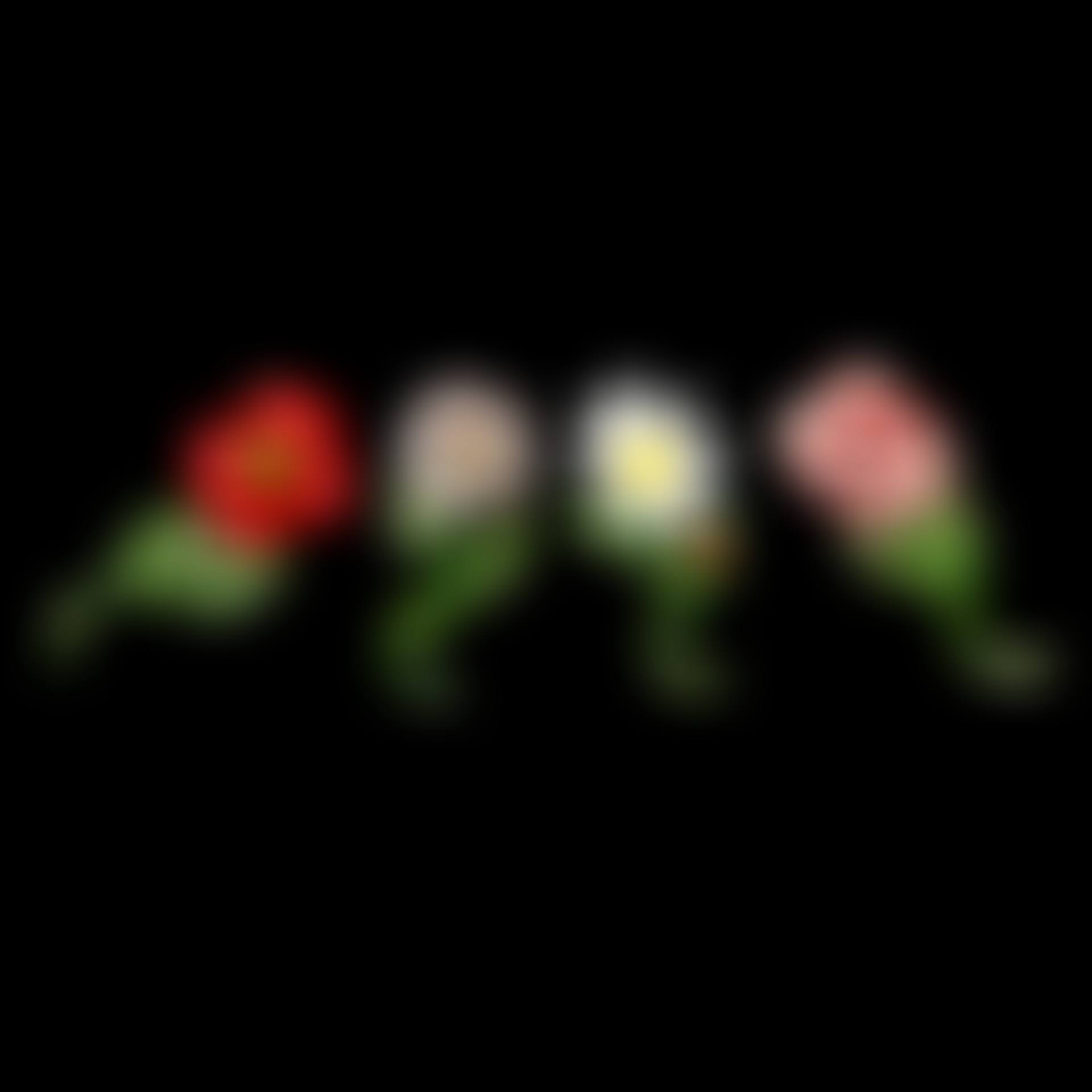 DECORATIVE FLOWERS (preview)