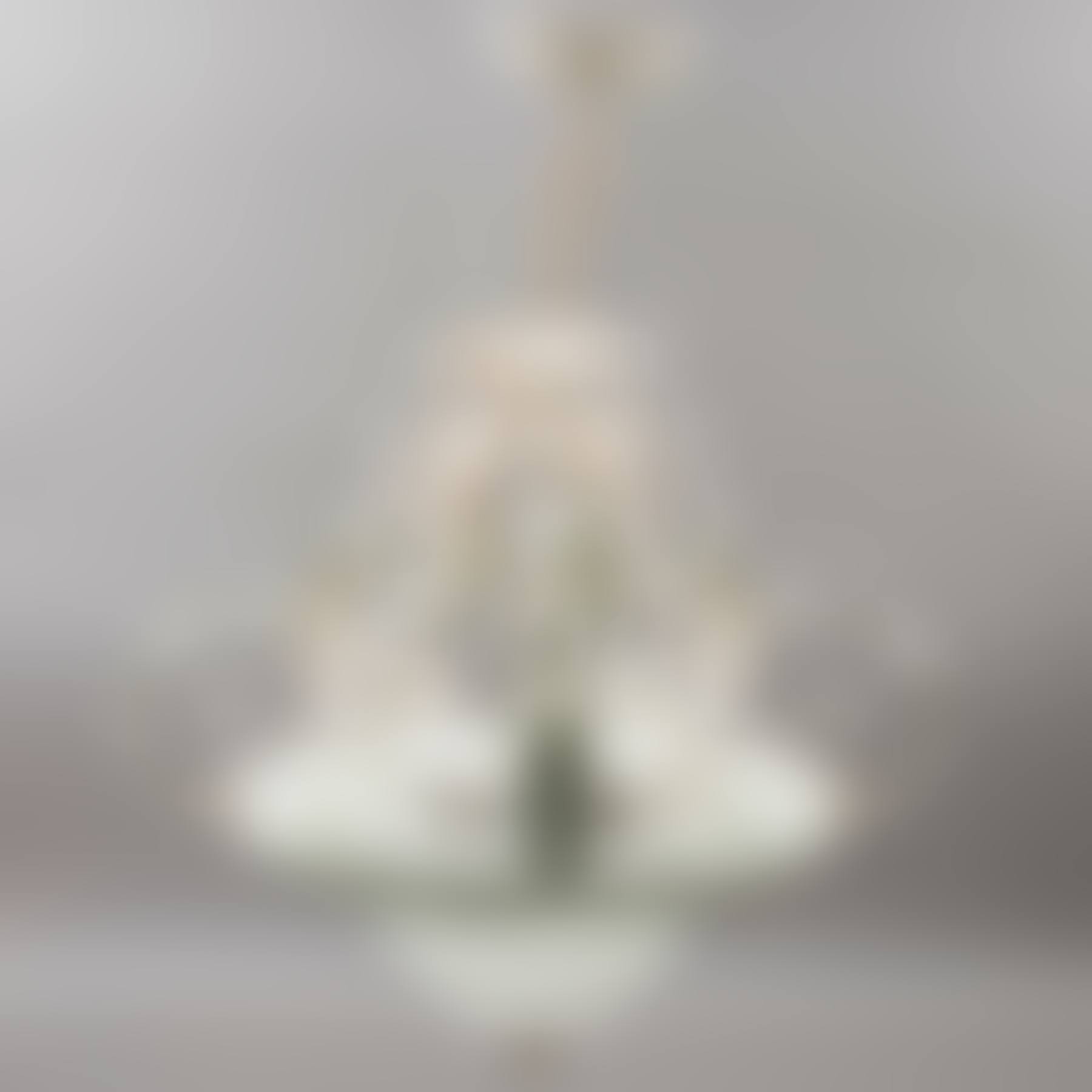 OUTDOOR CEILING LAMP; For 5 lights (preview)