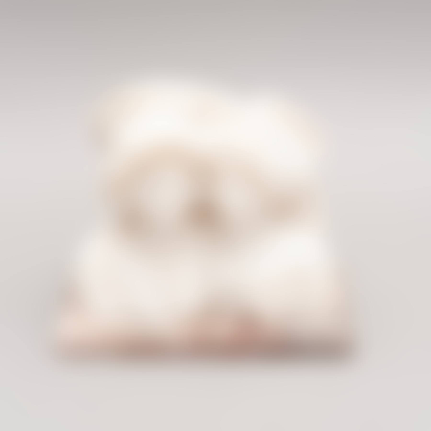 BUST OF A COUPLE (preview)
