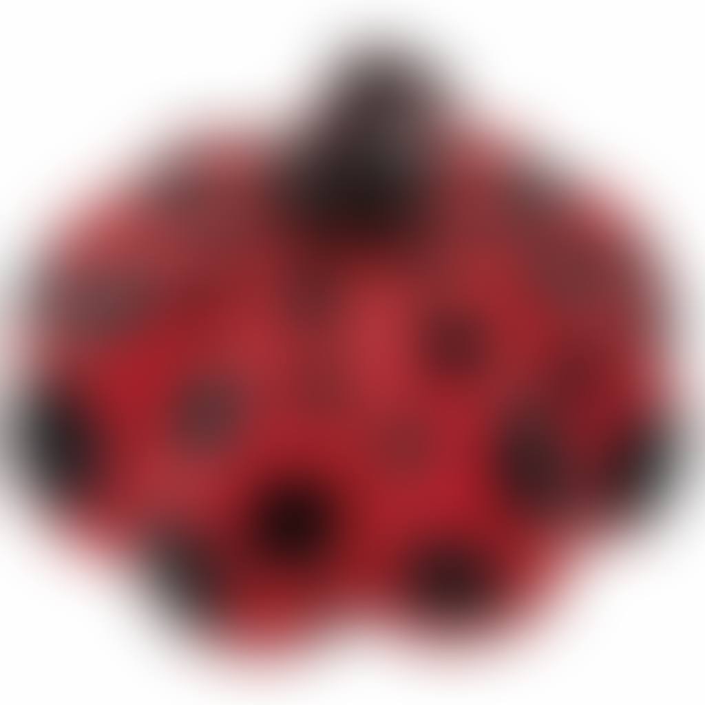 Red Pumpkin Naoshima (preview)