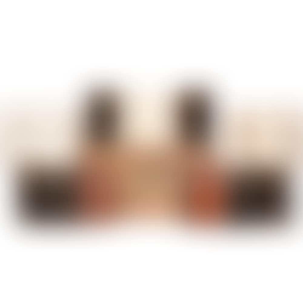 Universal Illustrated European-American Encyclopedia (preview)