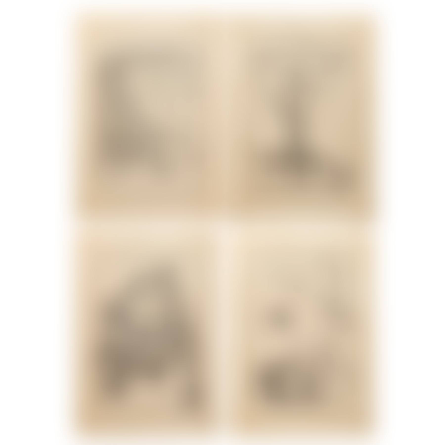 Engravings of Astronomical Instruments (preview)