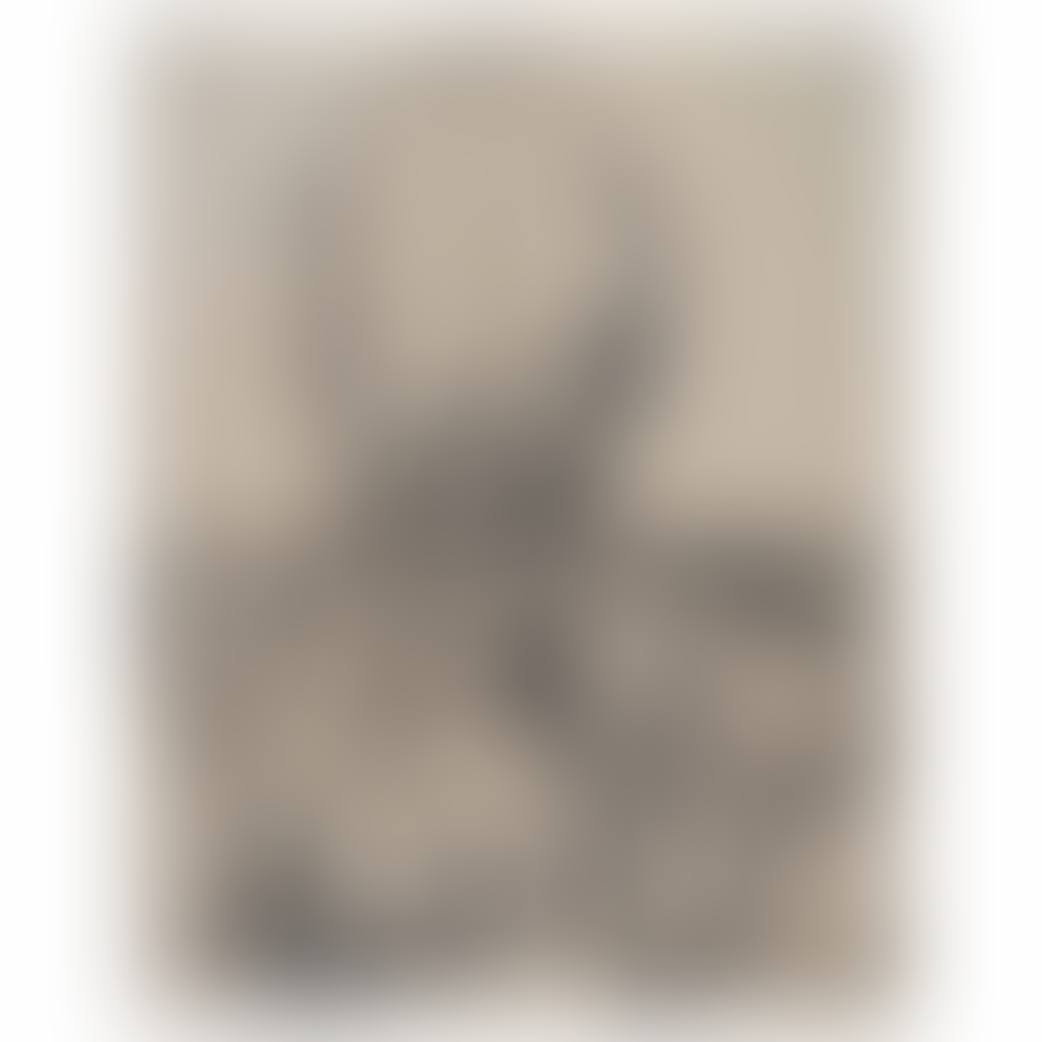 Untitled (preview)