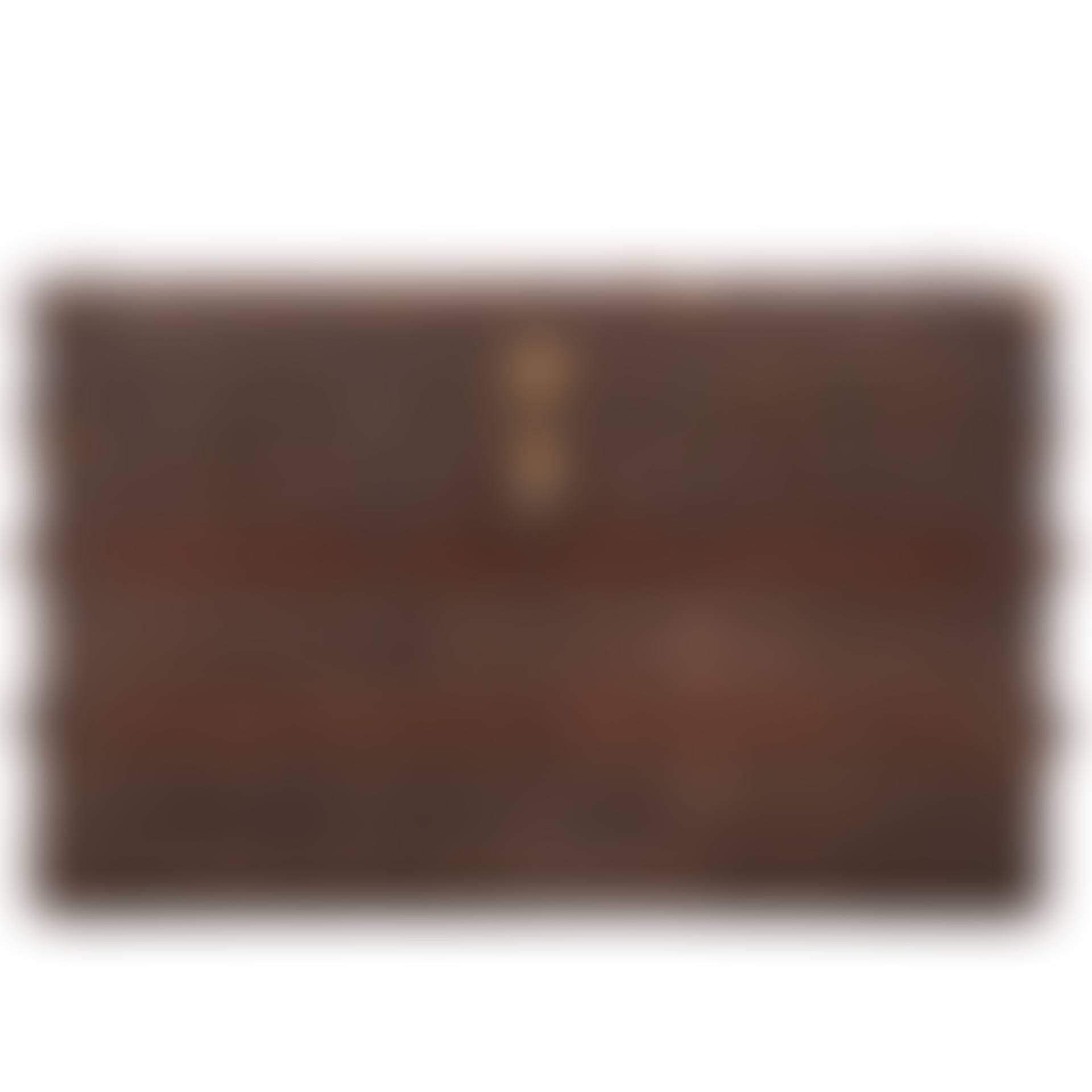 Travel trunk (preview)
