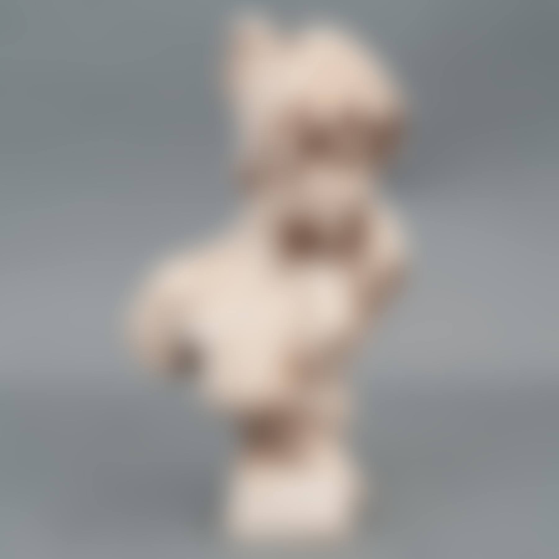 FEMALE BUST (preview)