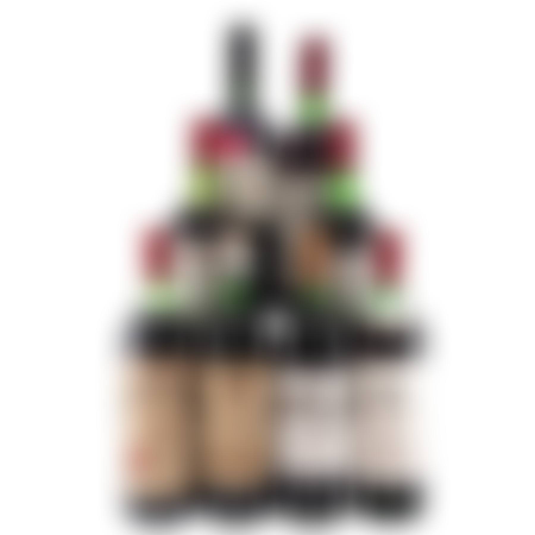 Lot of Red Wines from France and Argentina. (preview)