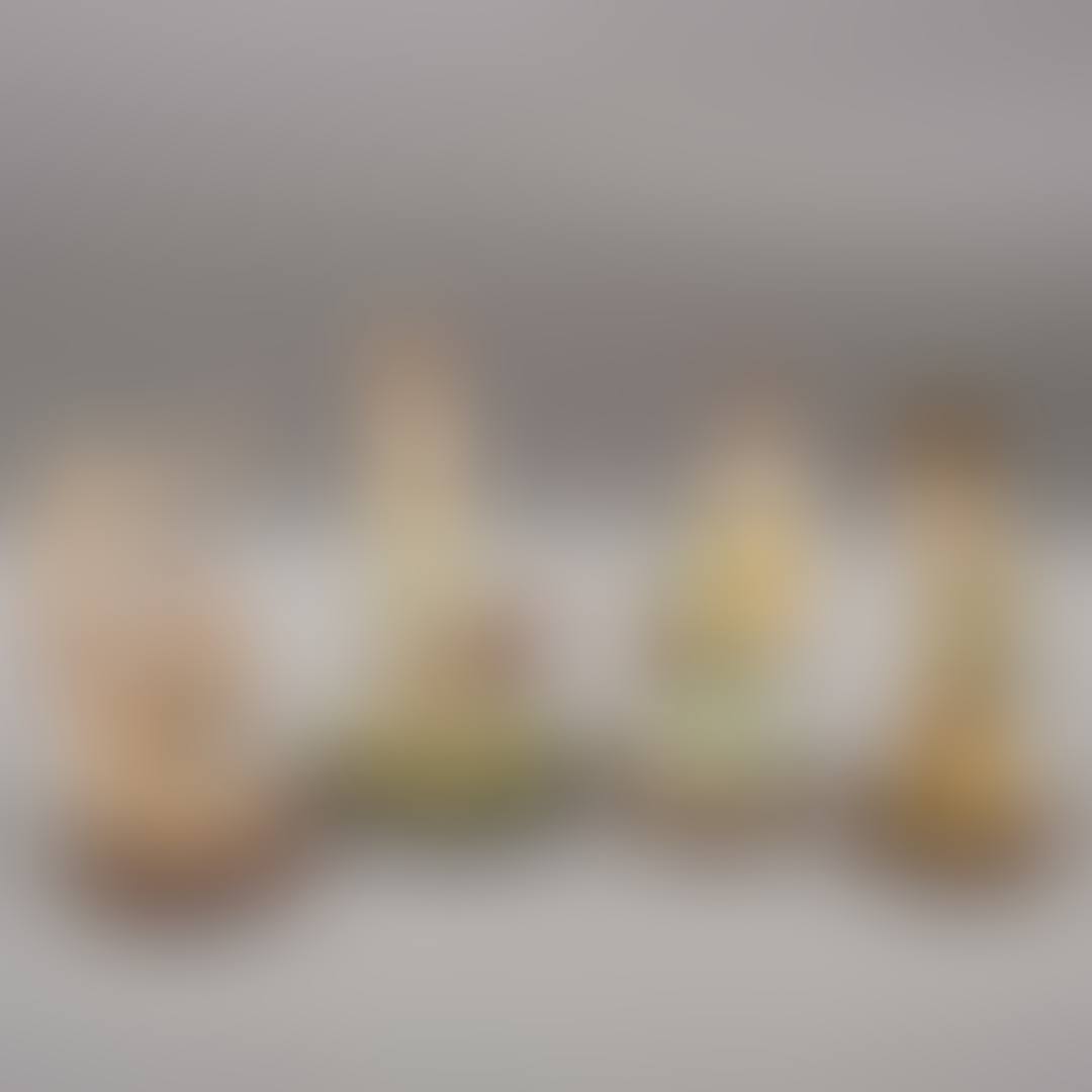 From the CAPODIMONTE brand (preview)