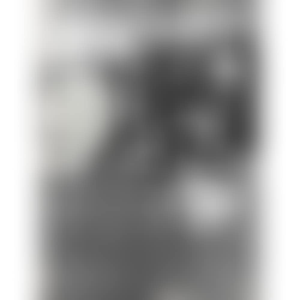 Abstract (preview)