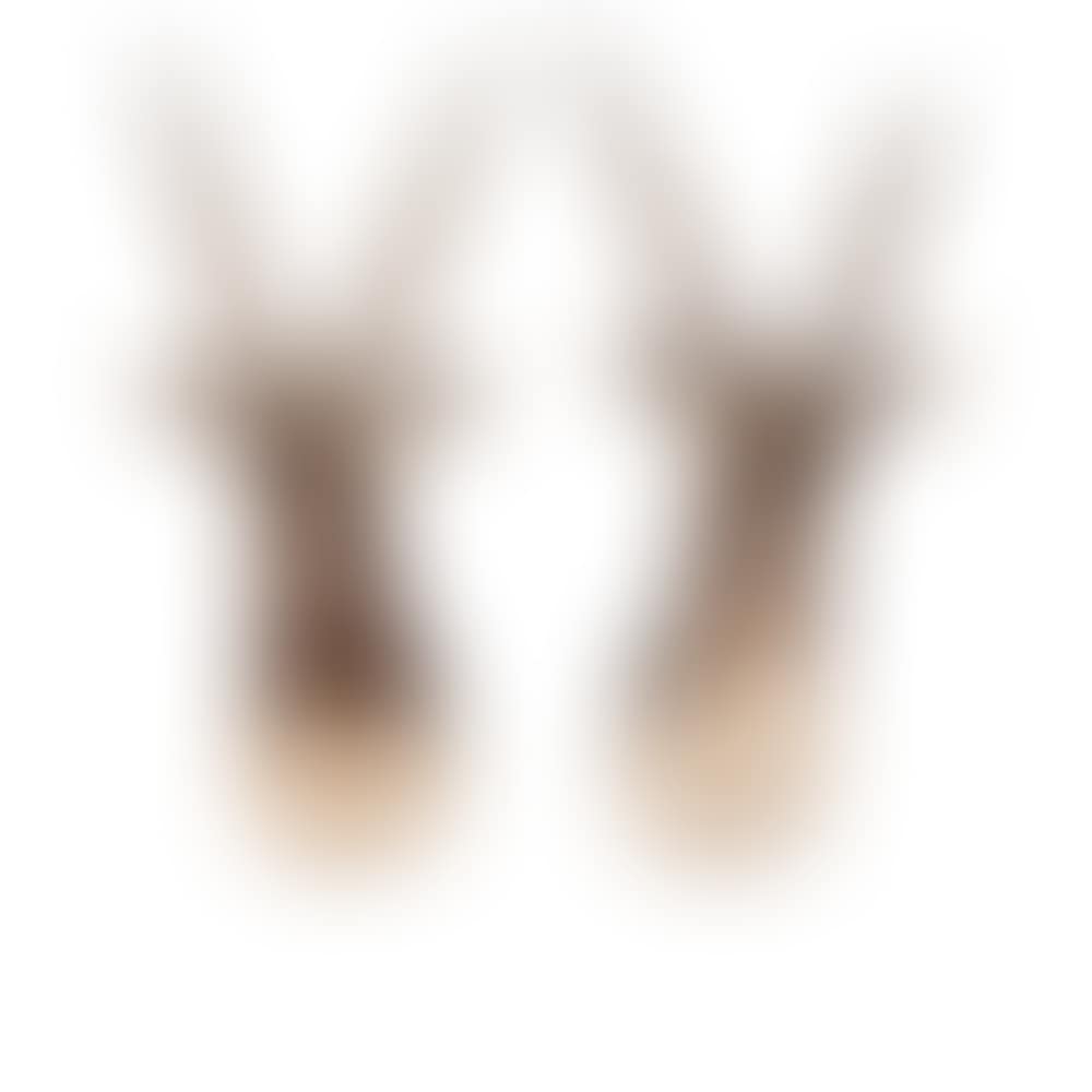 Taxidermy (preview)