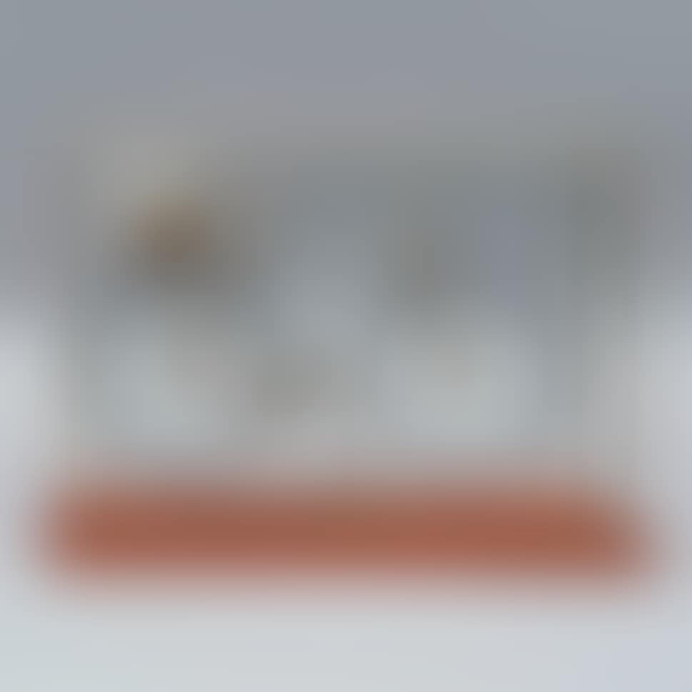 SCALE BICYCLE (preview)