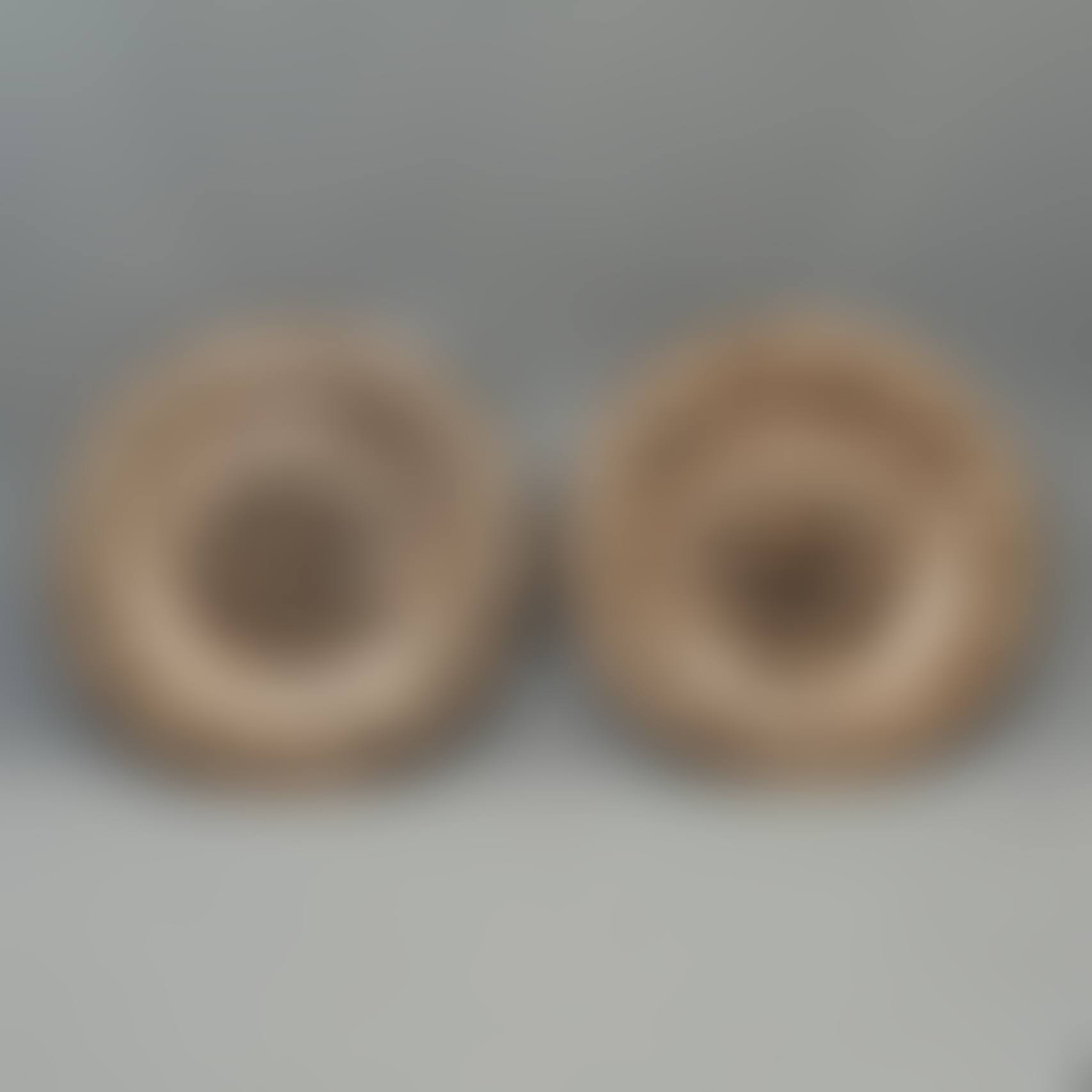 PAIR OF PLATES (preview)