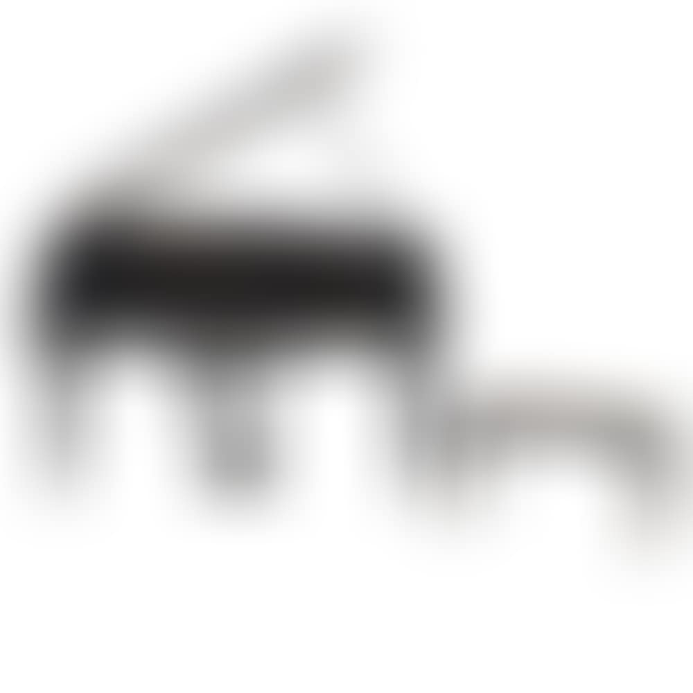 Grand piano (preview)