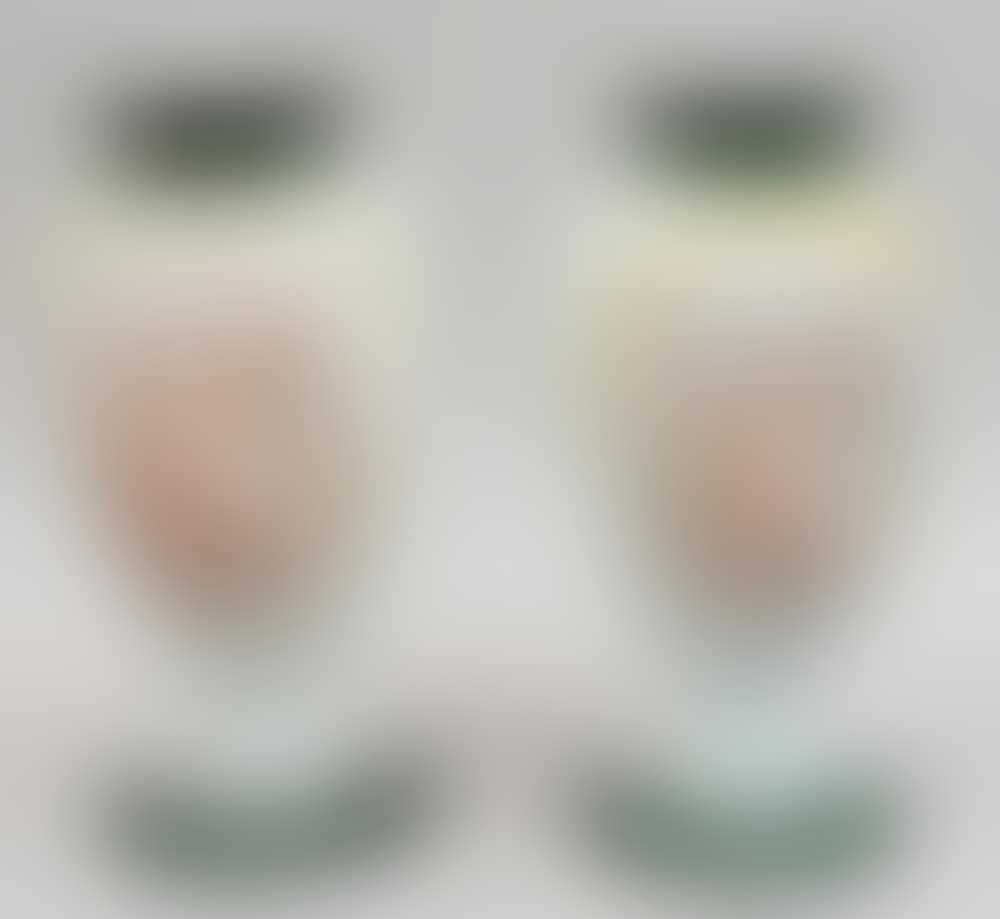 Pair of vases (preview)