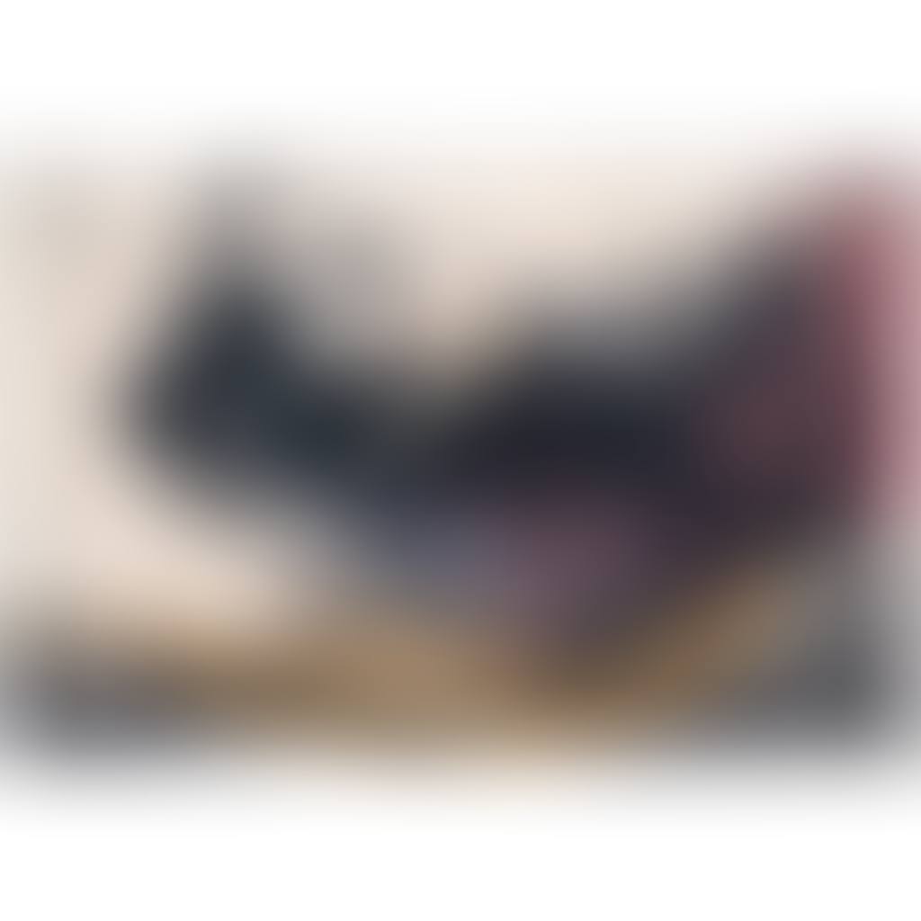Rider of the Apocalypse Chapter XII (preview)
