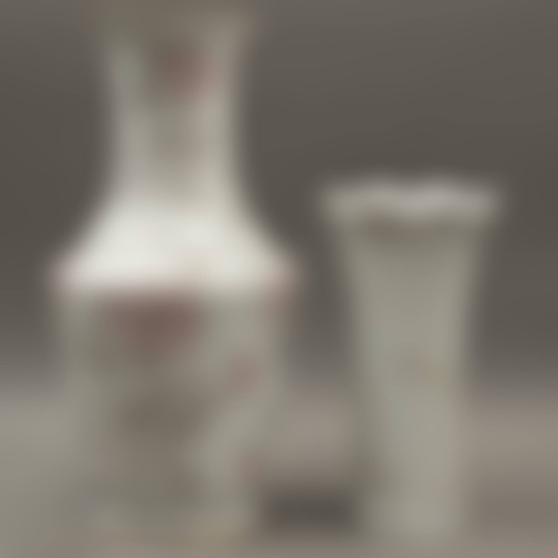 VASE AND FLOWER VASE (preview)